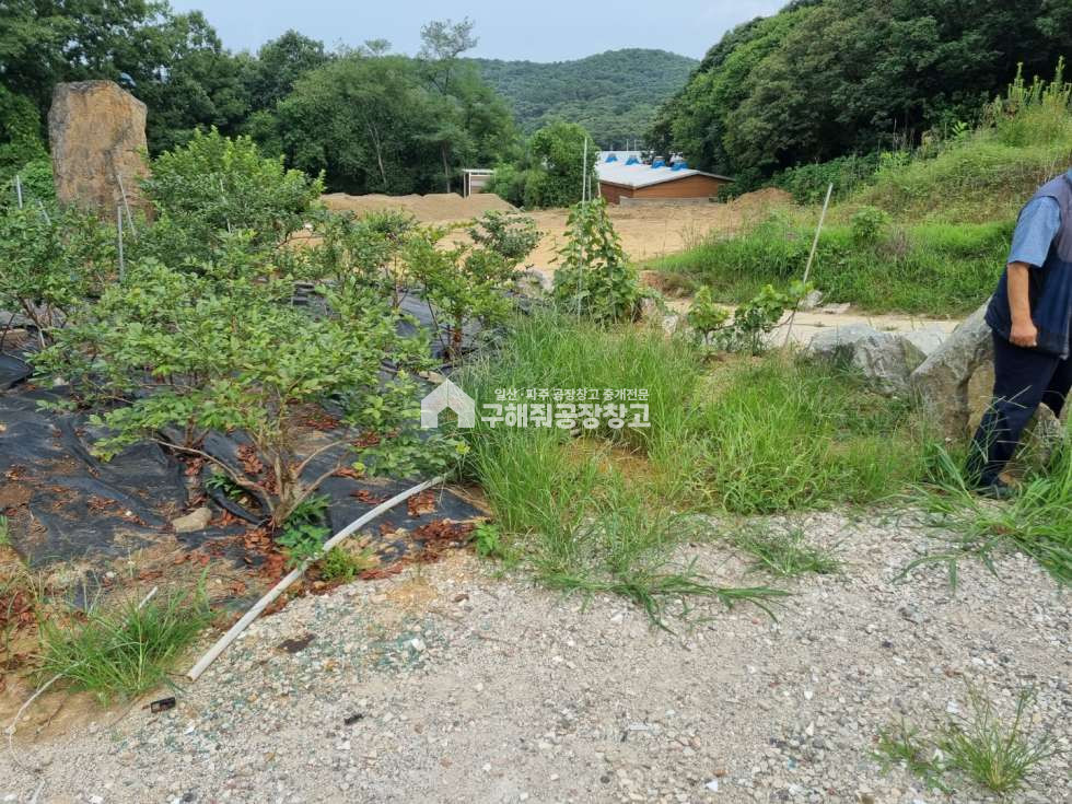 경기 파주시 파평면 율곡리 300평 세컨하우스 지을 땅 매매 매물번호 10001 사진 2