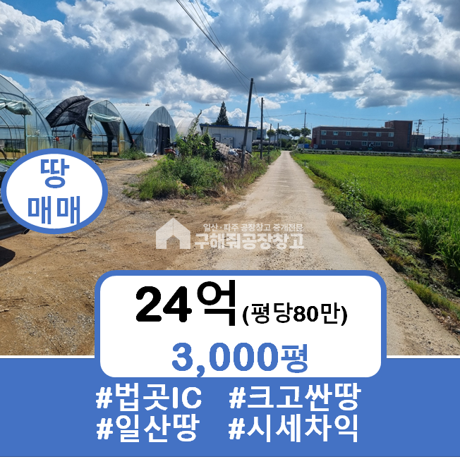 경기 고양일산서구 법곳동 일산 법곳IC주변 3,000평 땅 (평당80만원) 24억 매매 매매 매물번호 10064 사진 1